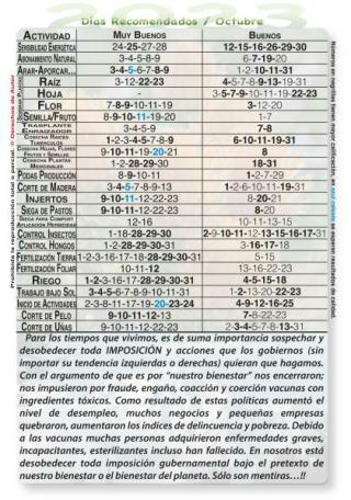 2024 2025 Calendario Agricola Lunar raiz hoja flor fruto muy buenos dias podas injertos control hongos