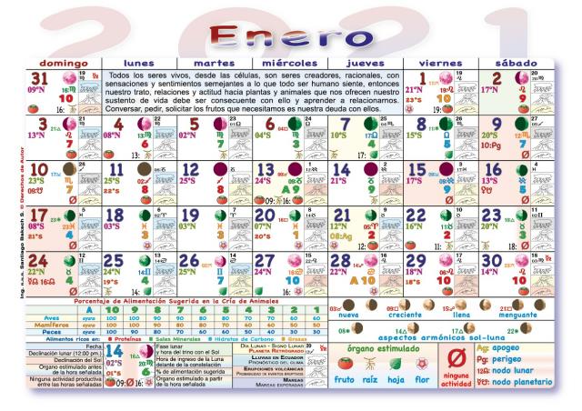 2022 Almanaque Calendario lunar con las fases lunares Actividades agricolas