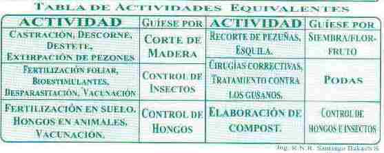 Tabla de actividades equivalentes