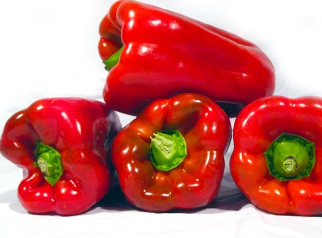 pimiento tomate carne arbol fruta hortaliza entrega domicilio casa restaurante organico productos canasta canstro