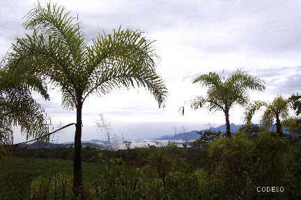 El volcán activo Sangay y el Parque Nacional Sangay Puyo - Provincia de Pastaza