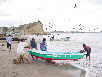 Pesca Isla de la PlataProvincia Manabí