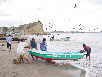 The beach in the Manabi province