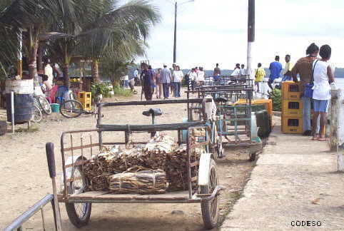San Lorenzo, los triciclos en el muelle