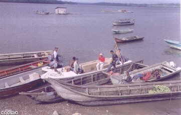 Pichangal: vista del puerto