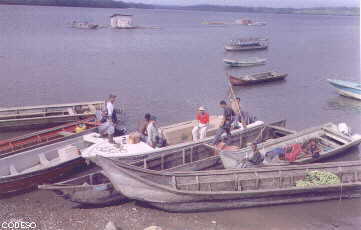 View of the port and Pichangal