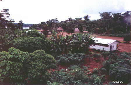 Vista parcial de la comuna Sharamentsa desde la torre de agua Fotos