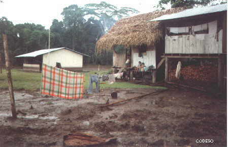 Sistema Solar de Bombeo de Agua de la Comunidad Pachakutik