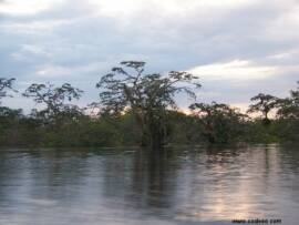 Laguana Grande Cuayabeno Amazon