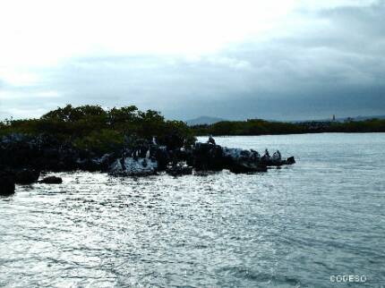 Galapagos Islands