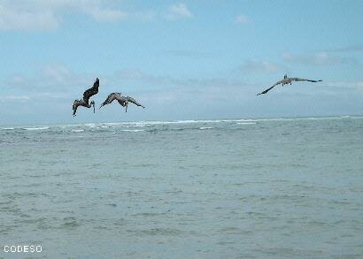 Foto: Parque Lago Guayas - Ecuador