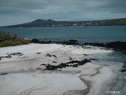 Galapagos Islands