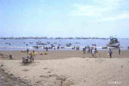 Puerto pescero de Manta - Provincia Manabi