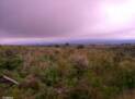 Paramo Chimborazo