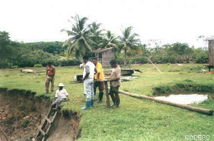 La gente de Guachal ayudando en minga