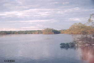 Reserva Ecológica de Manglares Cayapas Mataje 