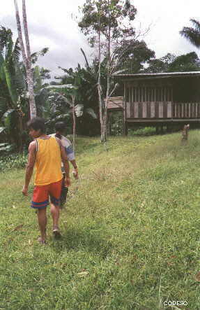 Casa con captación de agua del techo