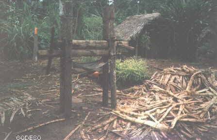 Trapiche artesanal para la caña en el cantón Taisha