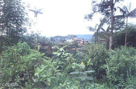 The town of Ventanas - taken from the site of the new solar powered drinking water tank